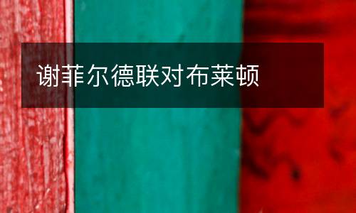 謝菲爾德聯對布萊頓