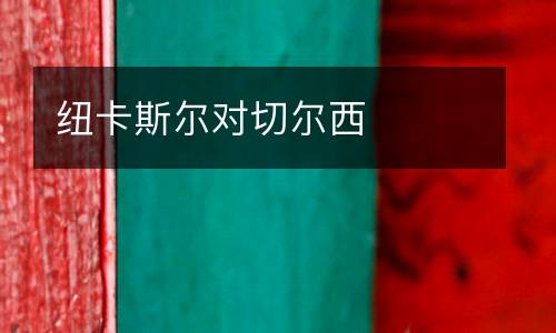 紐卡斯?fàn)枌η袪栁? />
<div   id=