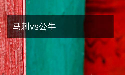 馬刺vs公牛