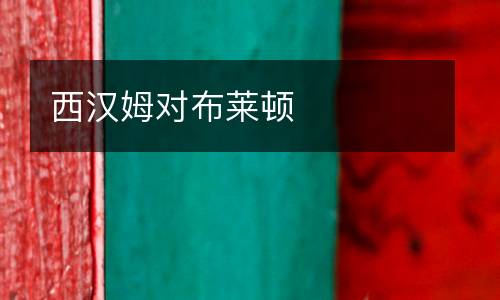 西漢姆對(duì)布萊頓