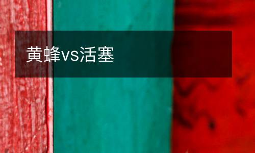 黃蜂vs活塞