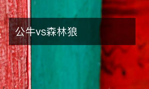 公牛vs森林狼
