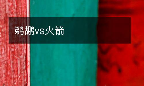 鵜鶘vs火箭